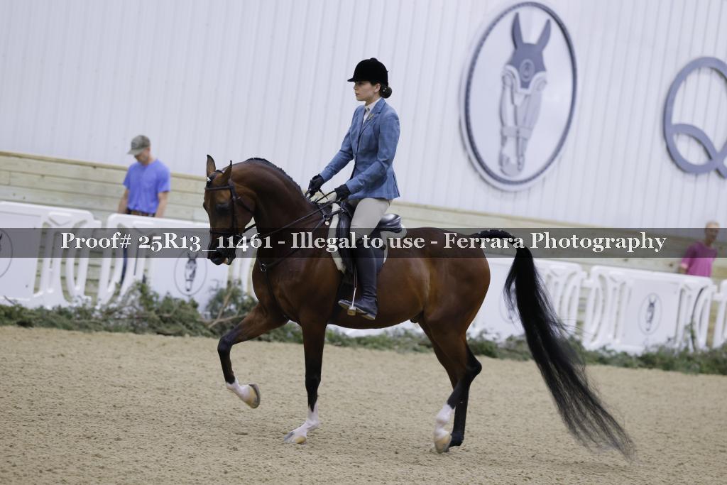 Proof 25R13_11461