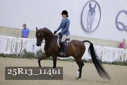 25R13_11461 proof