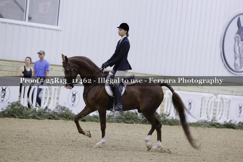 Proof 25R13_11462