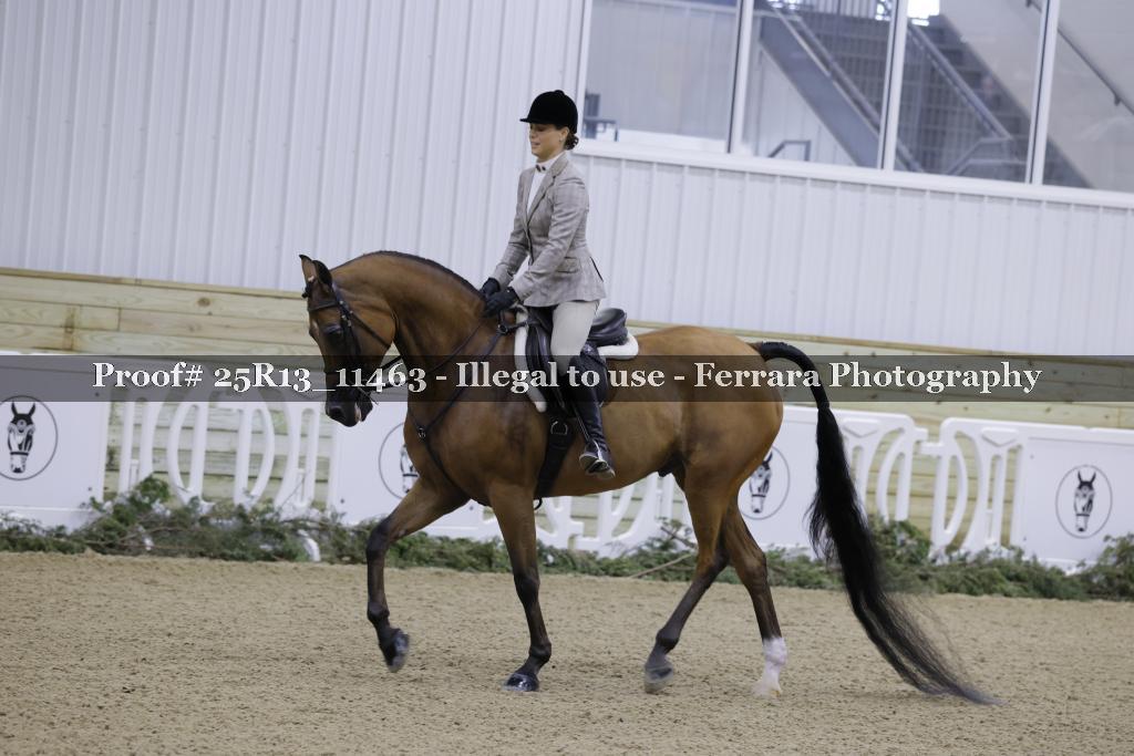 Proof 25R13_11463