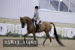 25R13_11463 proof