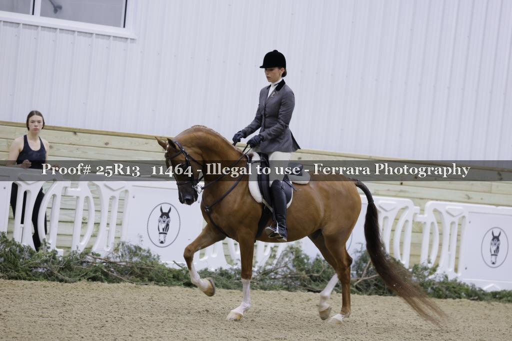 Proof 25R13_11464