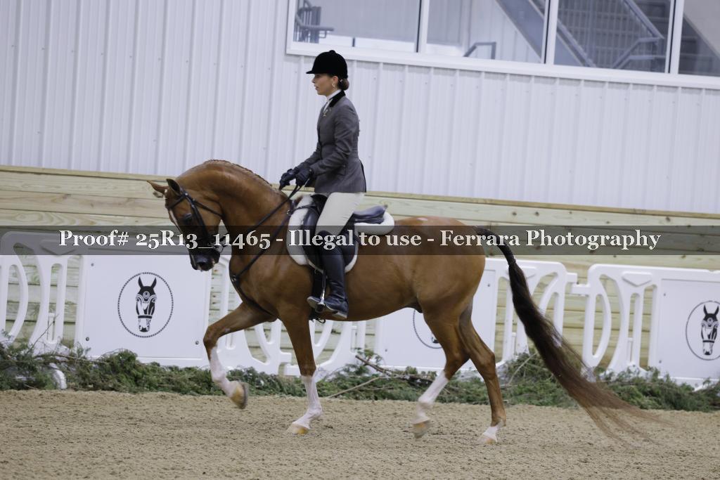 Proof 25R13_11465