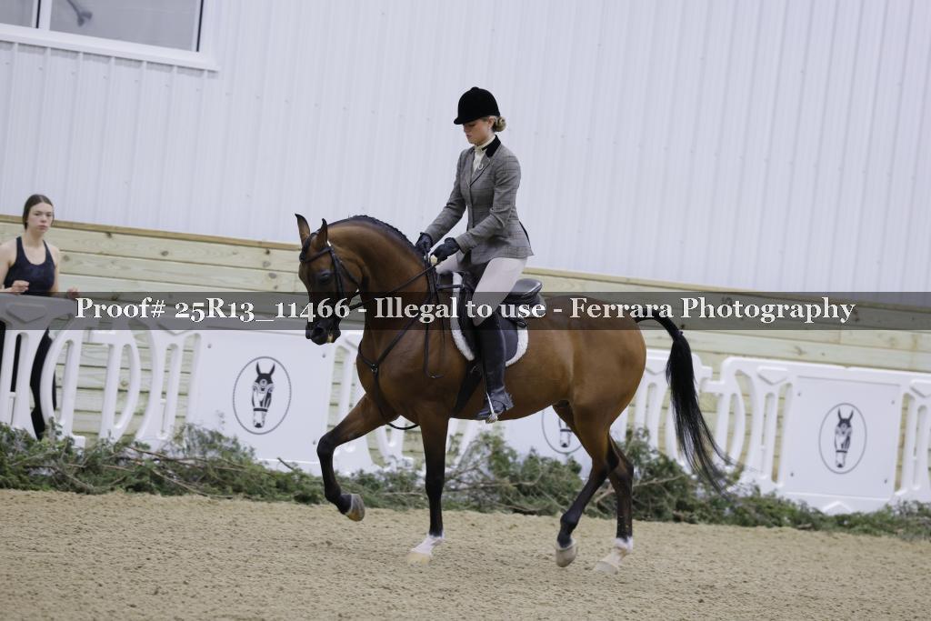 Proof 25R13_11466