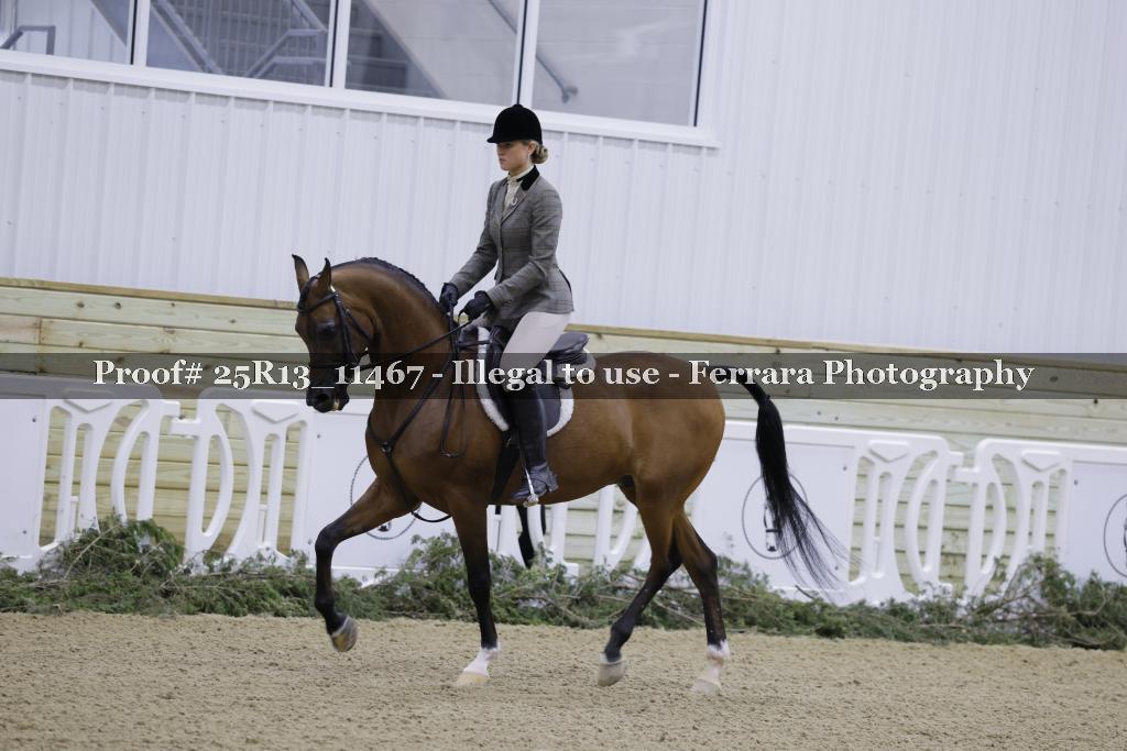 Proof 25R13_11467