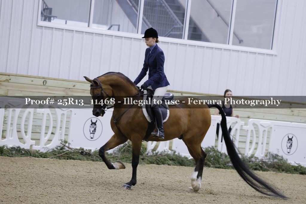 Proof 25R13_11468