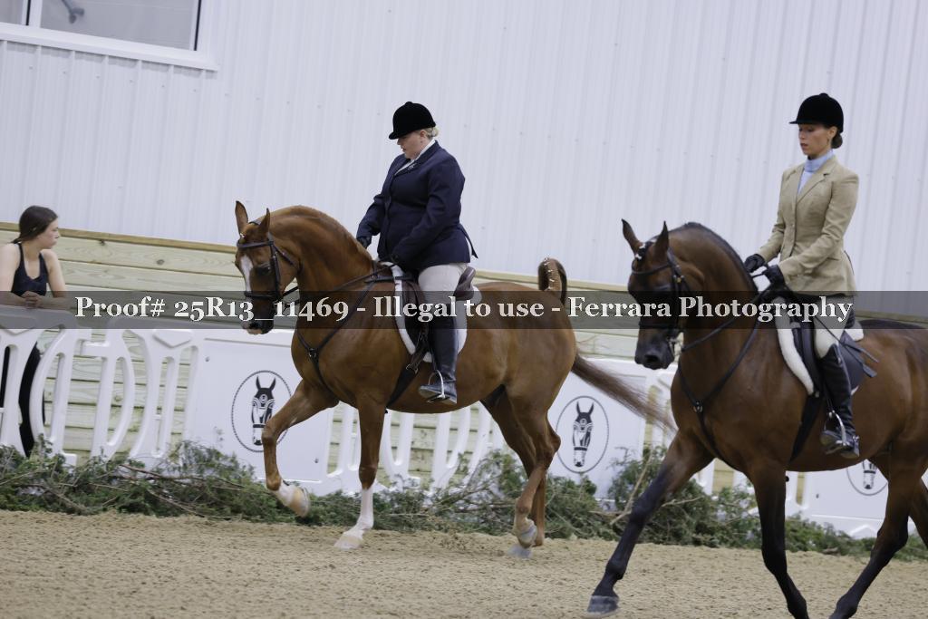 Proof 25R13_11469