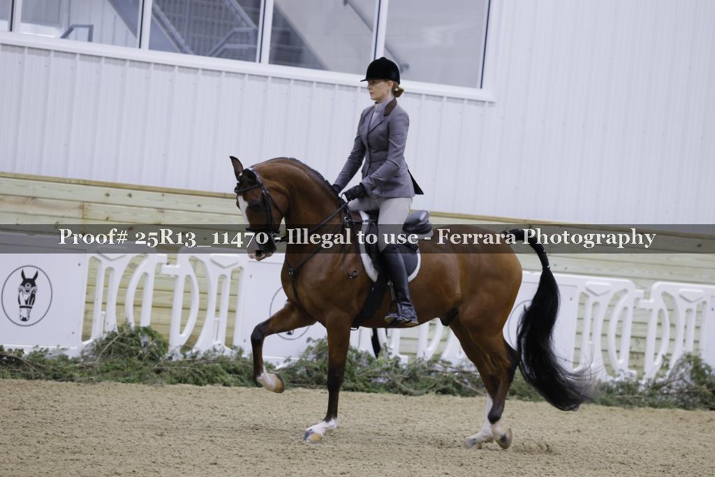 Proof 25R13_11470