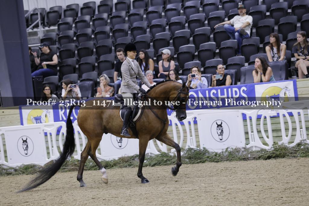 Proof 25R13_11471