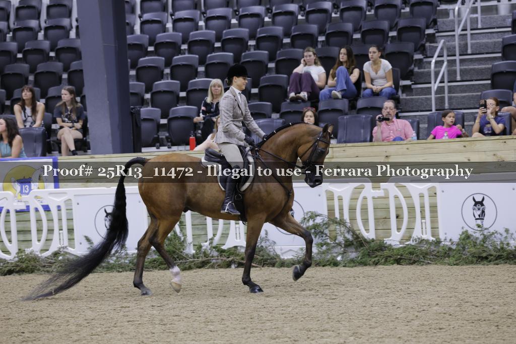 Proof 25R13_11472