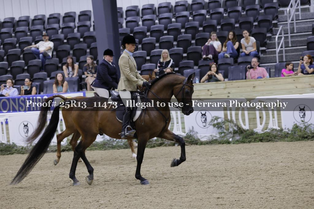 Proof 25R13_11473