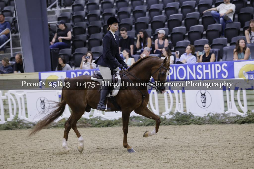 Proof 25R13_11475