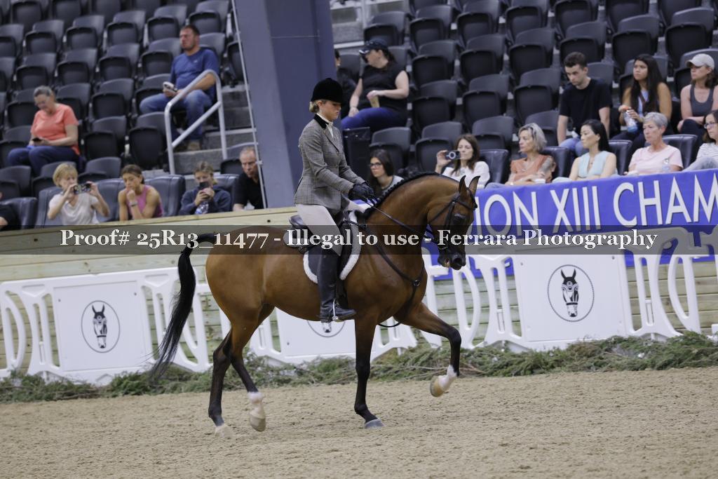 Proof 25R13_11477