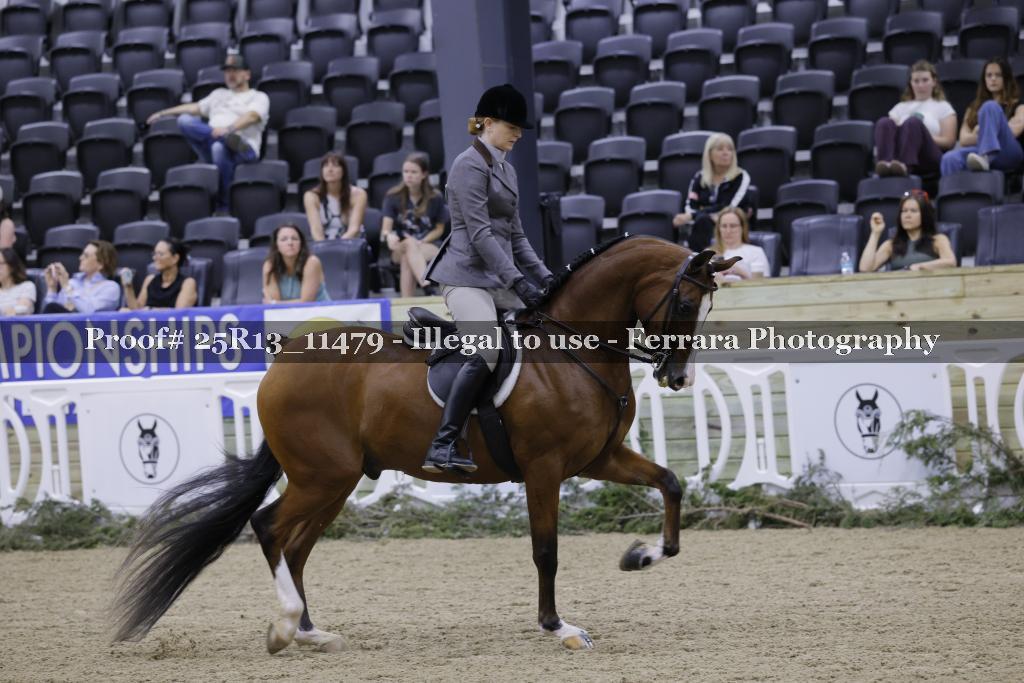 Proof 25R13_11479