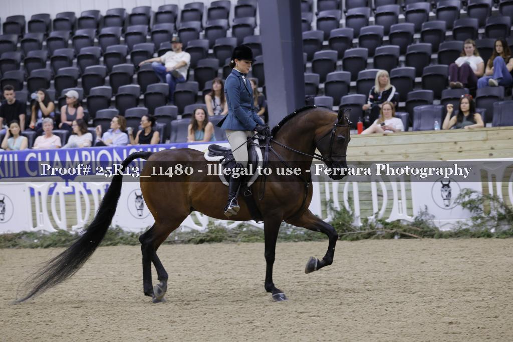 Proof 25R13_11480