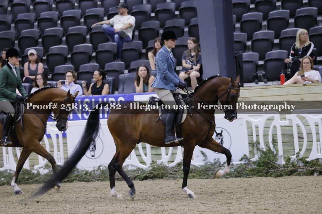 Proof 25R13_11482