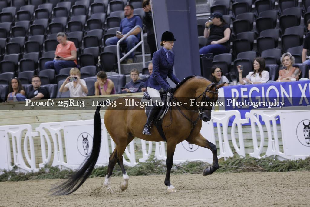 Proof 25R13_11483