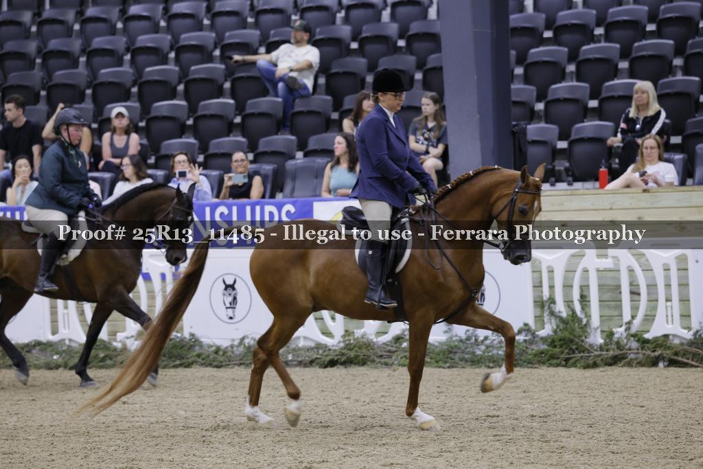Proof 25R13_11485