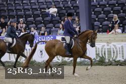 25R13_11485 proof