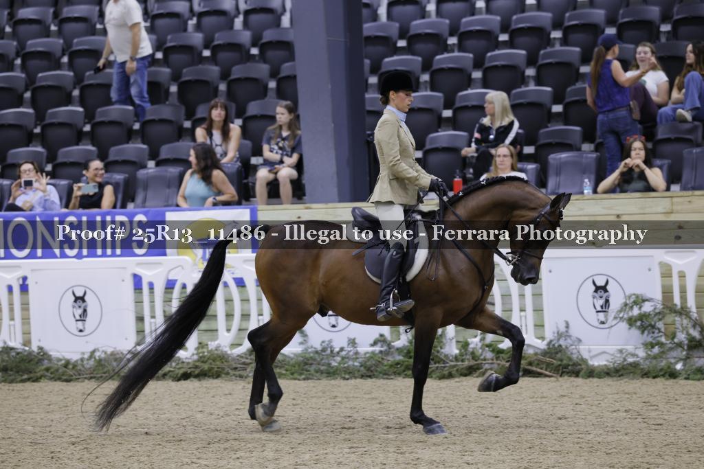 Proof 25R13_11486