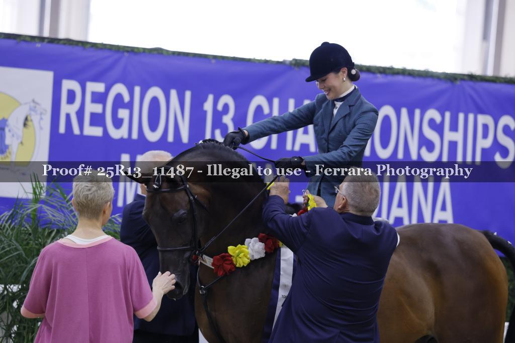 Proof 25R13_11487
