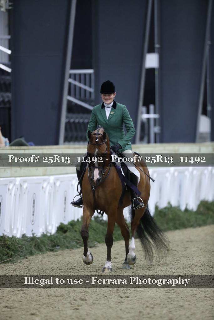 Proof 25R13_11492