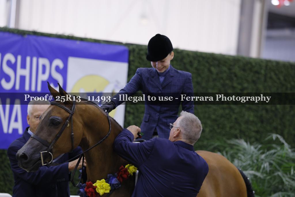 Proof 25R13_11493