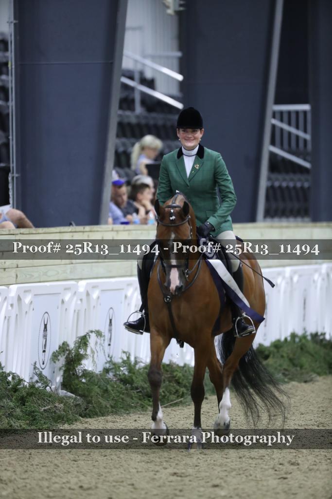 Proof 25R13_11494