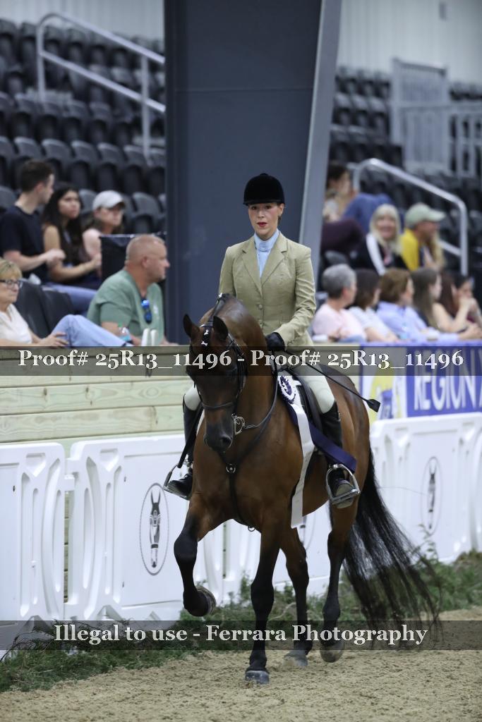 Proof 25R13_11496