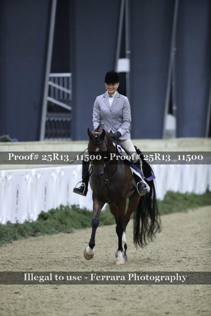 Proof 25R13_11500