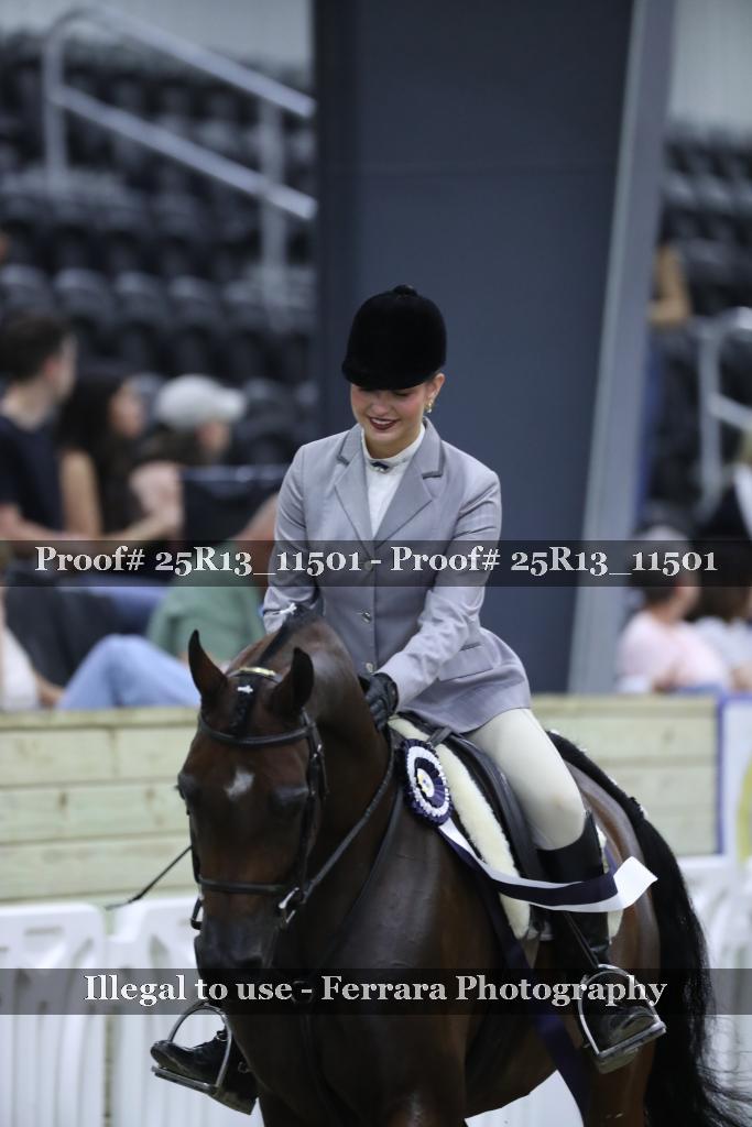 Proof 25R13_11501