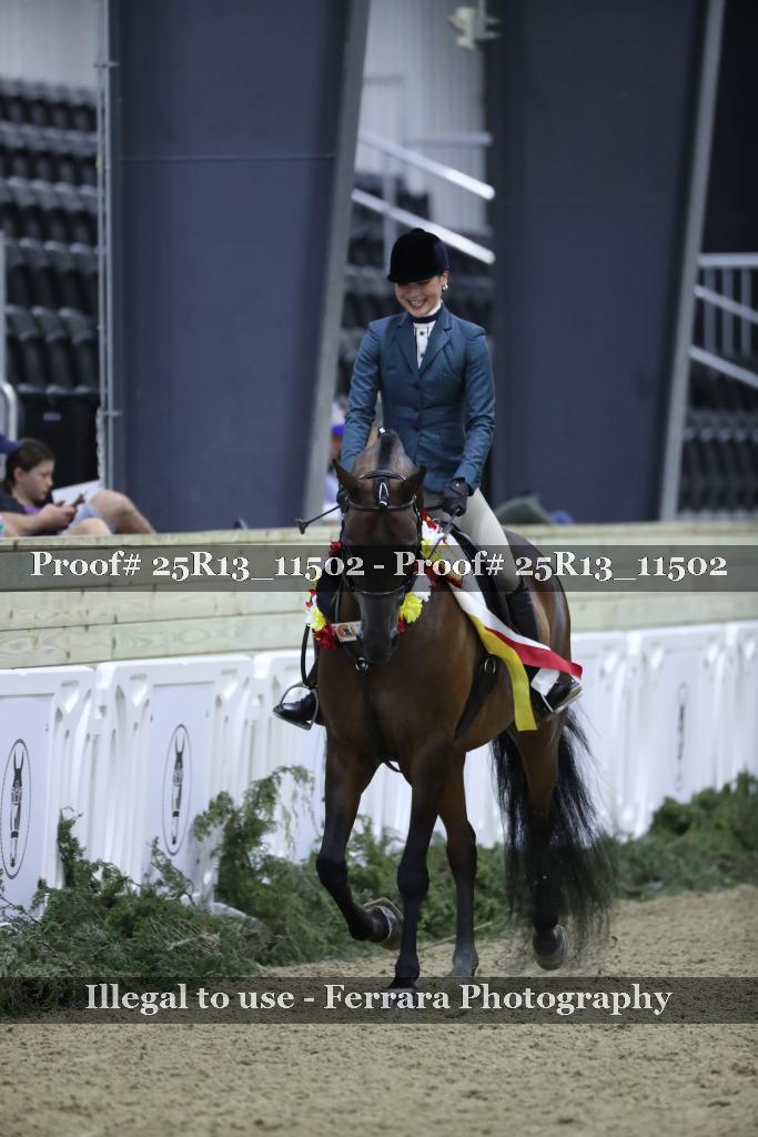 Proof 25R13_11502
