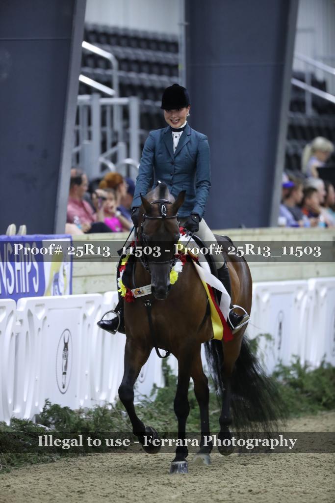 Proof 25R13_11503