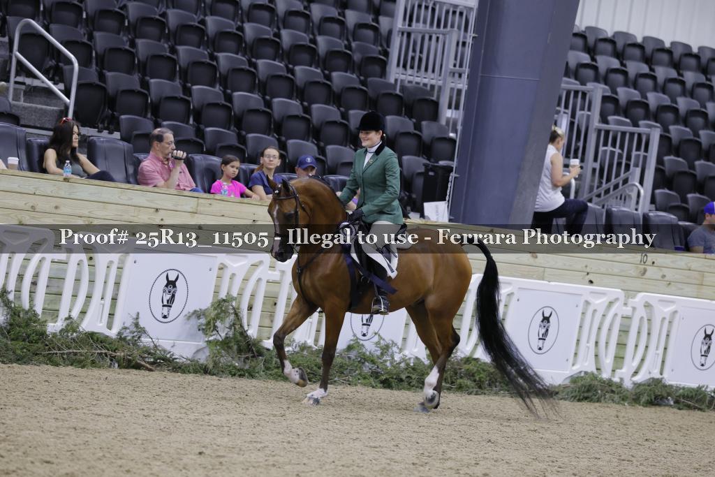 Proof 25R13_11505
