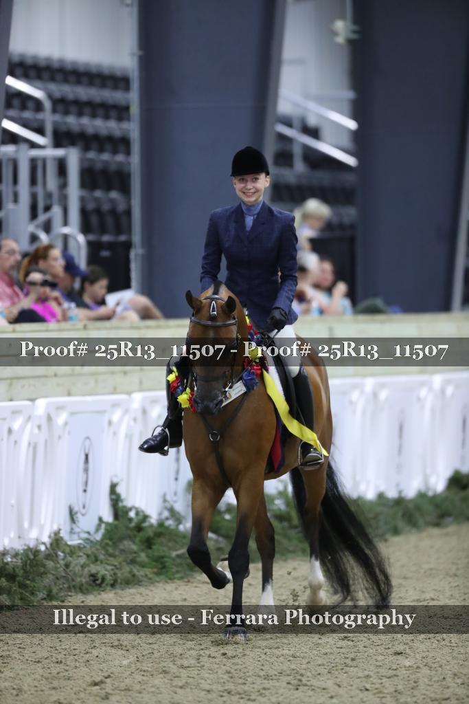 Proof 25R13_11507