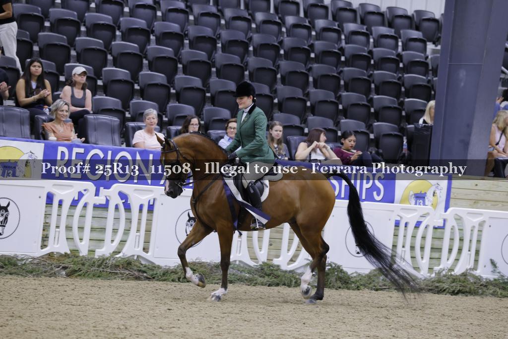 Proof 25R13_11508
