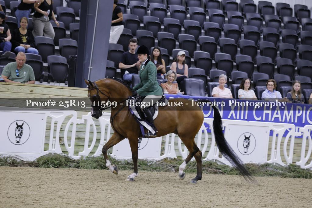 Proof 25R13_11509