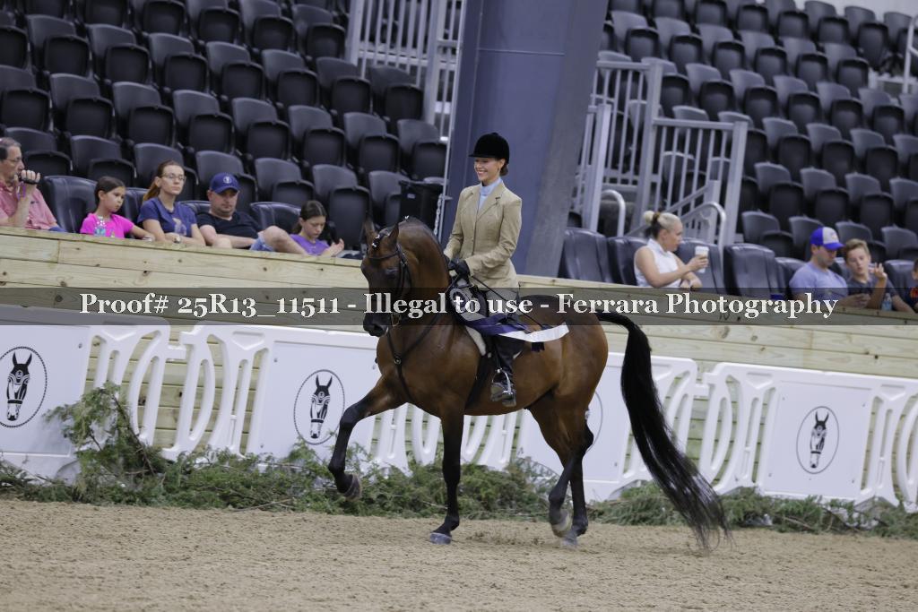 Proof 25R13_11511