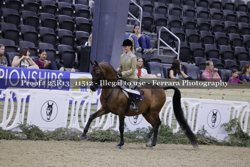 Proof 25R13_11512