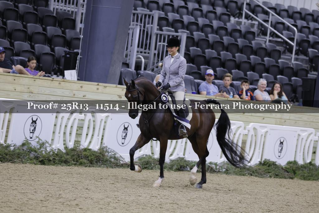 Proof 25R13_11514