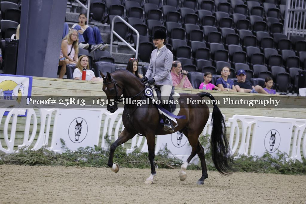 Proof 25R13_11515