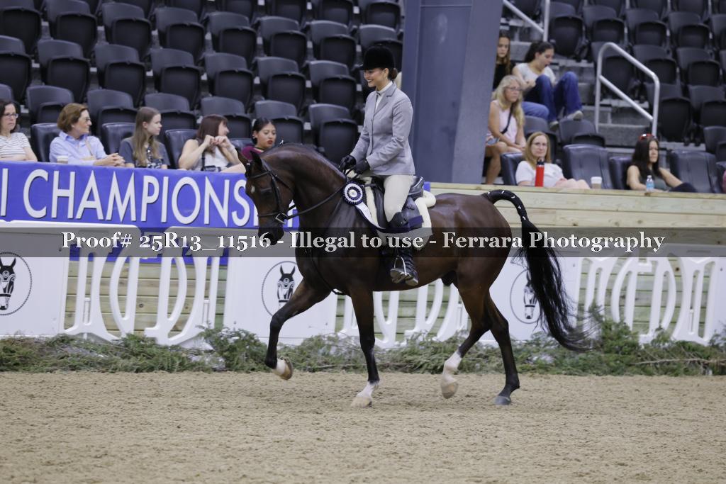 Proof 25R13_11516