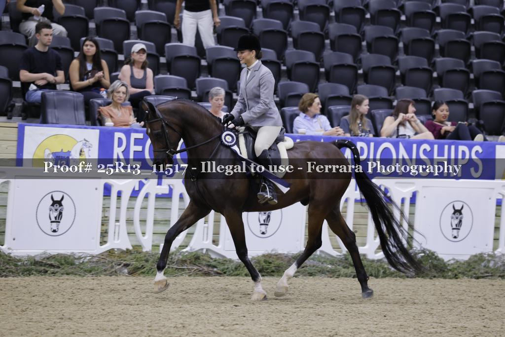 Proof 25R13_11517