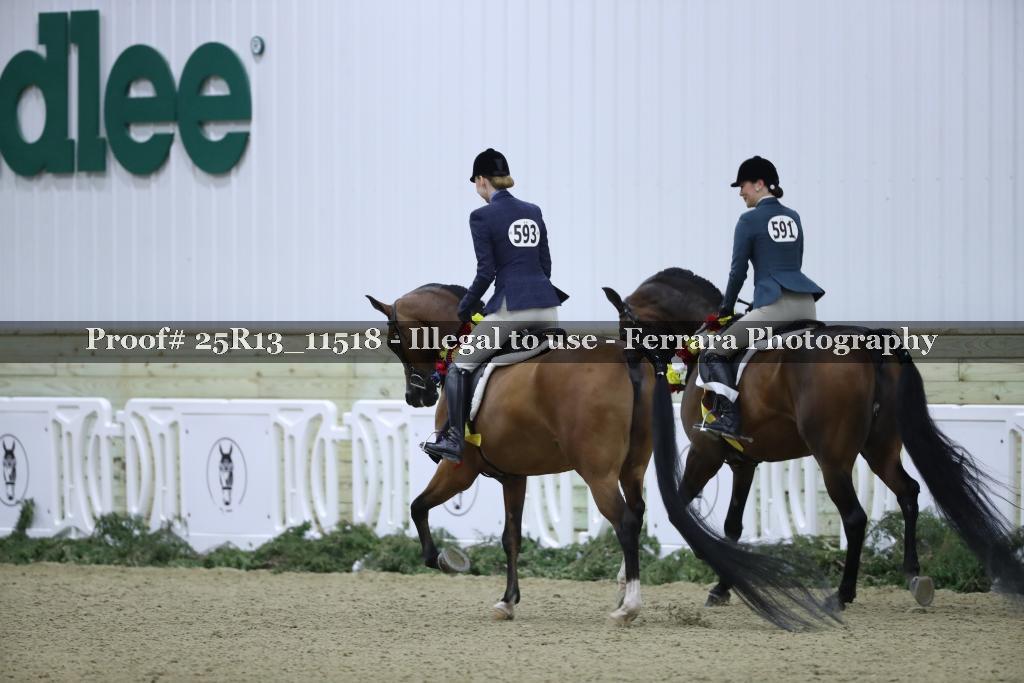 Proof 25R13_11518