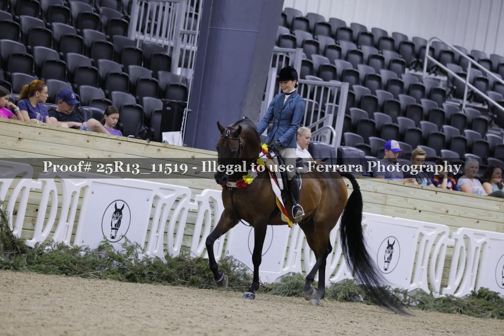 Proof 25R13_11519