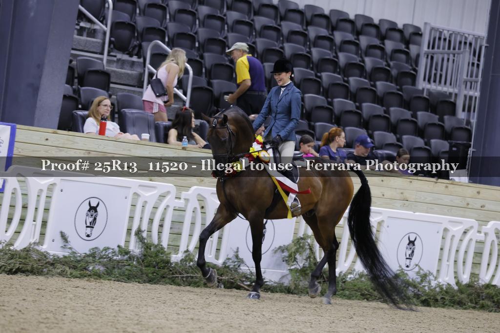 Proof 25R13_11520