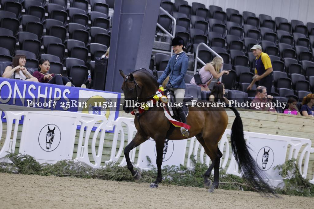 Proof 25R13_11521