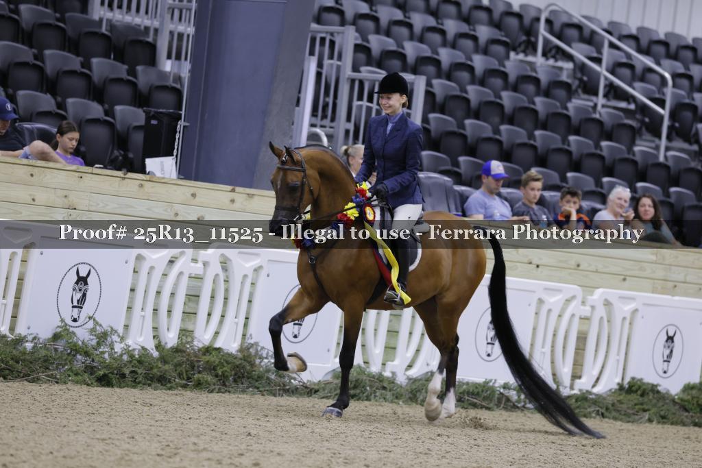 Proof 25R13_11525