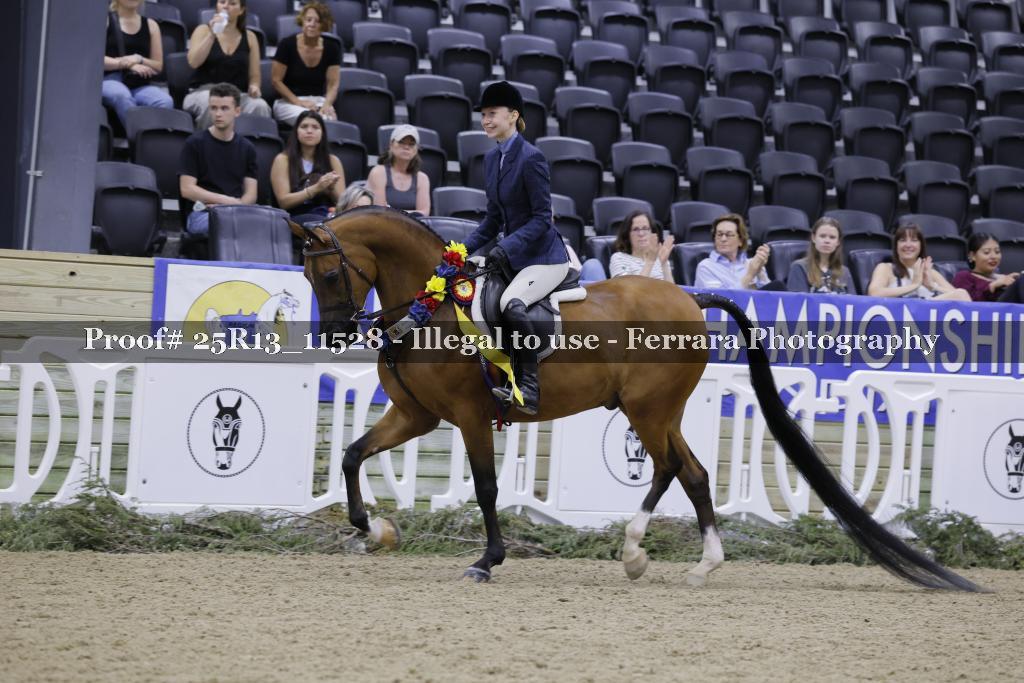Proof 25R13_11528