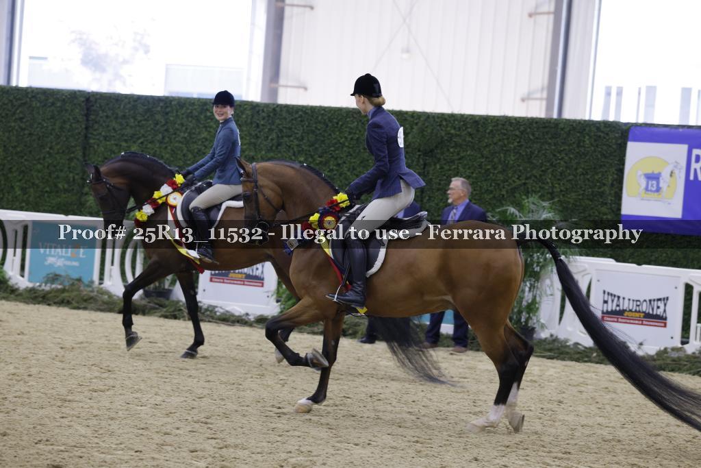Proof 25R13_11532